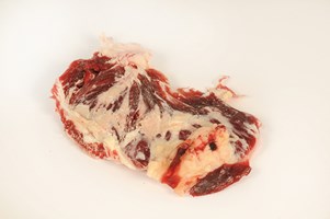 Hip Steak Meat Cut Spec Step 1